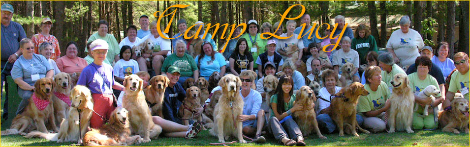 camp lucy slide